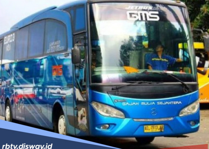 Mau Mudik Pakai Bus Gajah Mulia Sejahtera? Catat Berikut Harga Tiket dan Rute Terbarunya