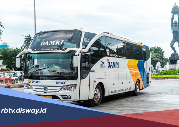 Perum Damri Lagi Buka Lowongan Kerja untuk Lulusan S1, Simak Persyaratannya