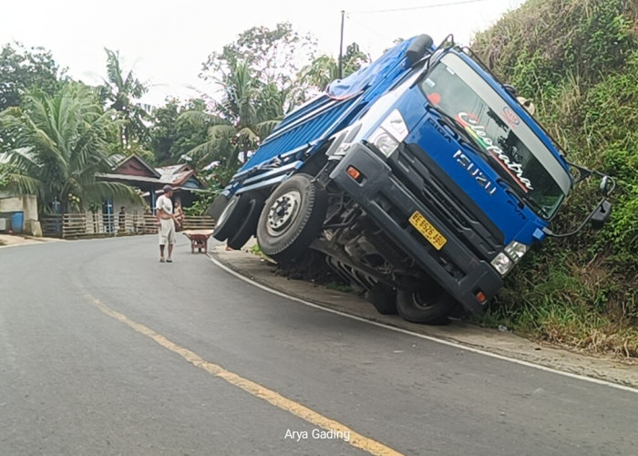 Berpapasan Fuso di Tikungan, Truk Ekspedisi Muatan Tepung Asal Lampung Terperosok 