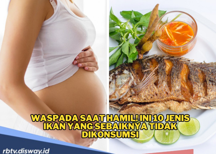 10 Jenis Ikan yang Sebaiknya Tidak Dikonsumsi Ibu Hamil, Ini Alasannya