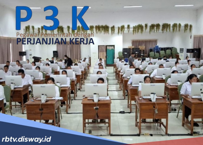 Gaji PPPK Paruh Waktu Lulusan S1, Cek Rentang Nominal, Beserta Peluang Kariernya di Sini!   