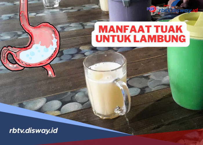 Katanya Minum Tuak Dapat Bermanfaat untuk Lambung, Benarkah? Begini Faktanya