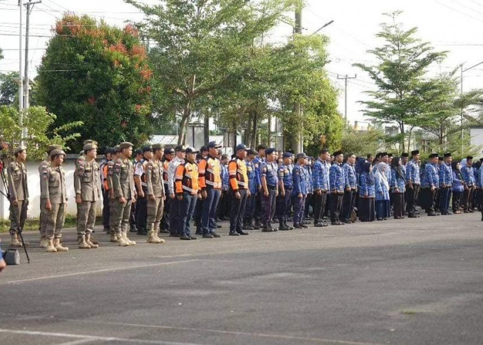 Pendaftaran CPNS Diperpanjang, Pemkab Bengkulu Tengah Siapkan Kuota Khusus 6 Orang