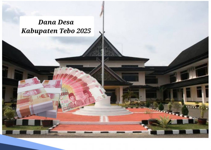 DANA Desa Kabupaten Tebo 2025, Jangan Sampai Dikorupsi, Total Dana Rp 113 Miliar