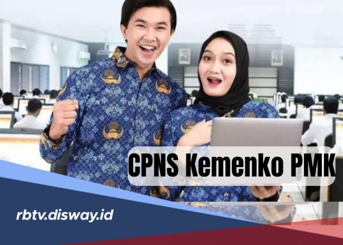 Cek Rincian Formasi CPNS 2024 Kemenko PMK, Salah Satu Instansi yang Sepi Peminat