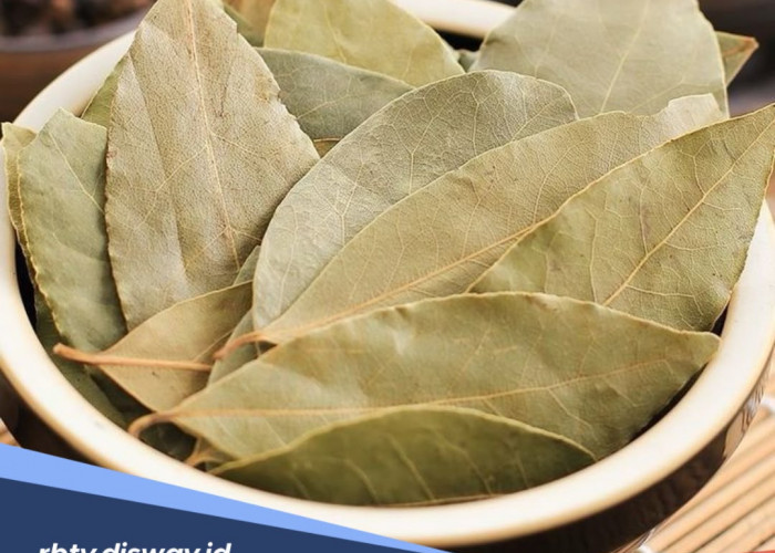 Belum Banyak yang Tahu, Ternyata Ada Banyak Manfaat Daun Salam untuk Kecantikan