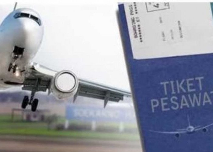 Tiket Mudik Mahal, Pemerintah Berusaha Keras Lakukan Ini 