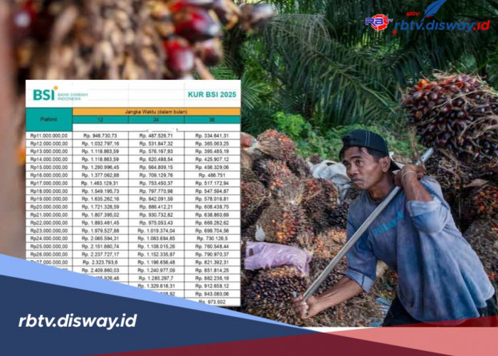 Modal Tanpa Riba untuk Petani Sawit, KUR BSI 2025 Tawarkan Pinjaman Rp 90 Juta Tak Perlu Jaminan