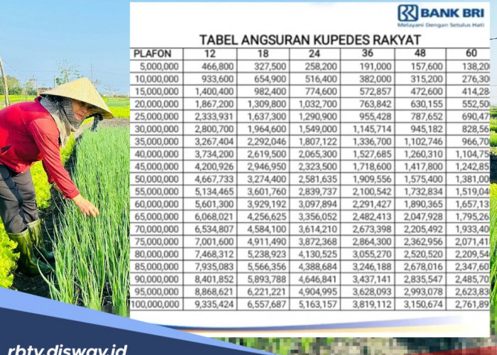Solusi Modal Tanpa Pusing Cicilan Bulanan untuk Petani, Kupedes BRI 2026 Bisa Bayar Pas Panen