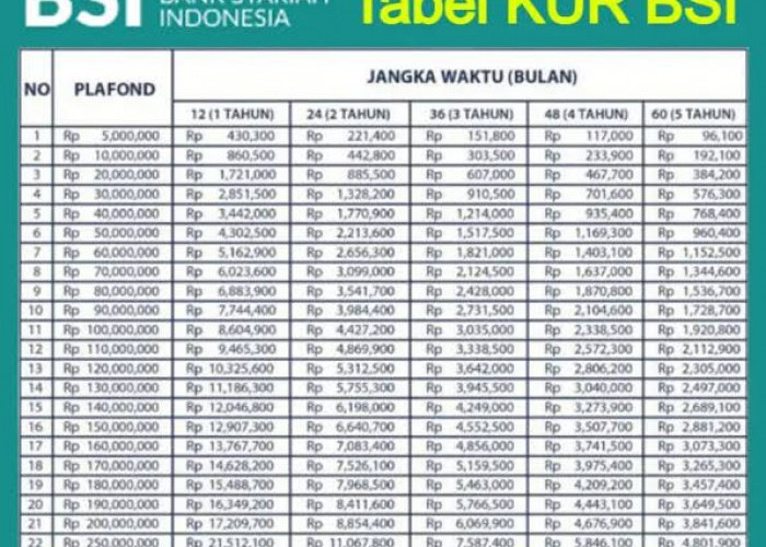 KUR Tanpa Bunga 2024, Berikut Simulasi Cicilan KUR BSI Pinjaman Rp25 dan Rp 30 Juta,