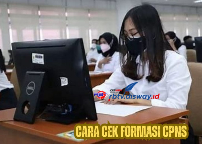 5 Hari Lagi Pendaftaran CPNS Dibuka, Begini Cara Cek Formasi CPNS 2024 dan Jadwal Pendaftarannya