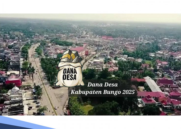 DANA Desa Kabupaten Bungo 2025, Disiapkan Pemerintah Rp 121 Miliar, Ini Pembagian per Desa