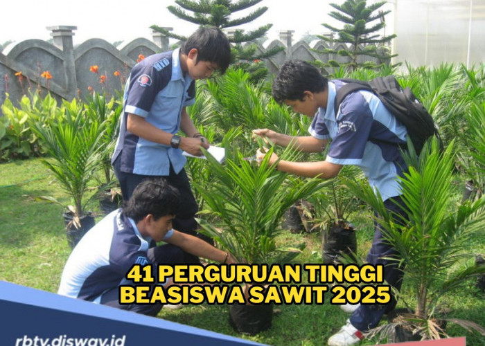 41 Kampus Siap Tampung Ribuan Mahasiswa Beasiswa Sawit 2025, Cek Daftar dan Program Studinya di Sini