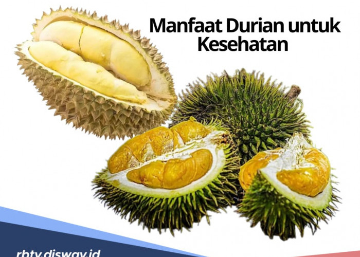 Musim Durian Telah Tiba! Inilah 10 Manfaatnya Bagi Kesehatan Tubuh, Apa Saja?