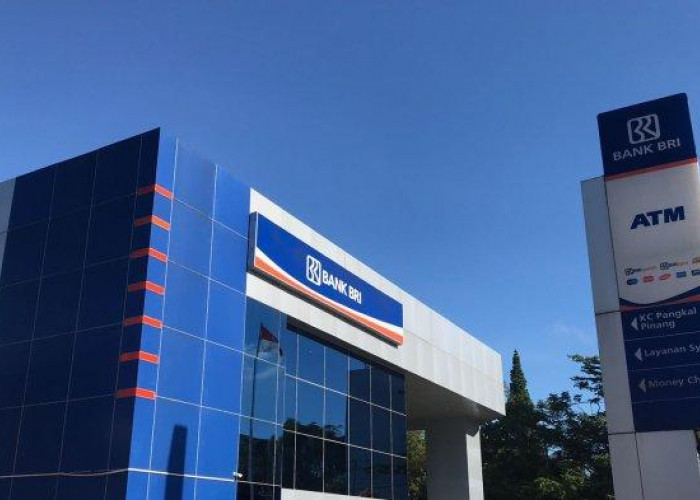 Silakan Ambil Modal Usaha Rp 100 Juta di BRI, Penuhi Syarat dan Ketentuan Berikut