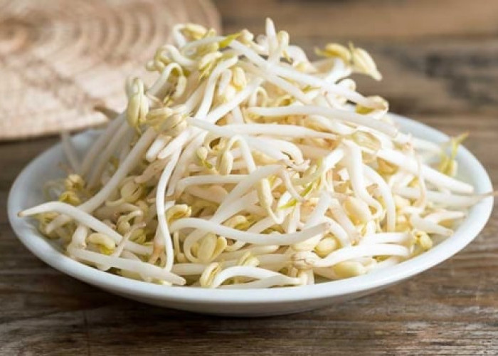 Suka Makan Toge? Ini Manfaatnya untuk Kesehatan Tubuh