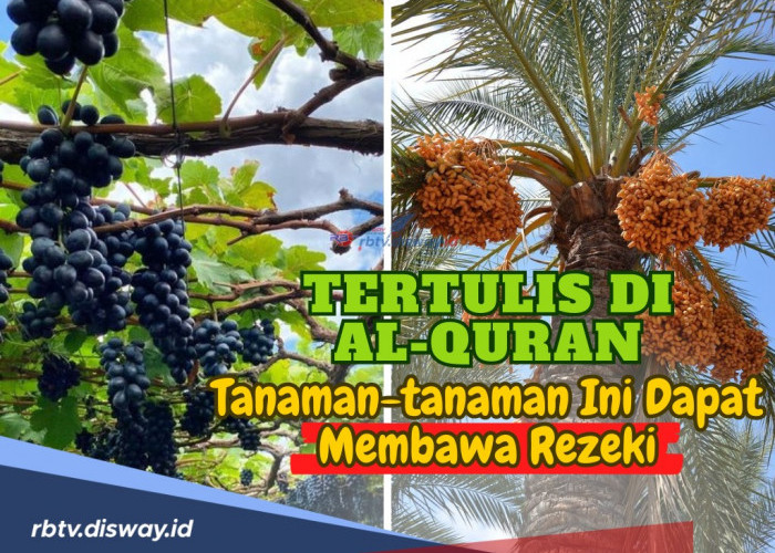 Disebutkan Dalam Al Quran dan Hadist, Ini 7 Tanaman yang Bisa Mendatangkan Rezeki