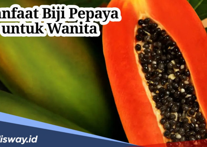 Kaum Hawa Harus Tahu, Ini Manfaat Biji Pepaya untuk Wanita, Buktikan Sendiri 