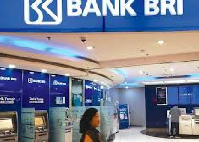 Cuma Sanggup Bayar Angsuran Rp 50 Ribu per Hari, Bisa Dapat Pinjaman KUR BRI Rp 70 Juta, Ikut Caranya Ini
