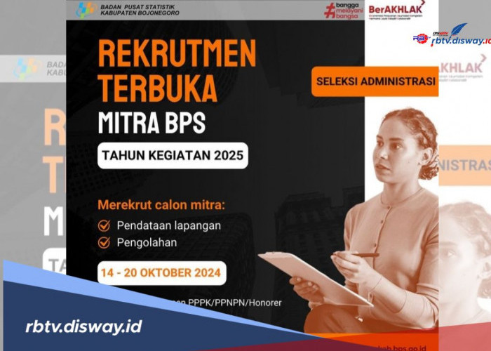 Segera Daftar, Ini Syarat dan Kualifikasi Rekrutmen Calon Mitra Statistik 2025 Bojonegoro, Besok Terakhir