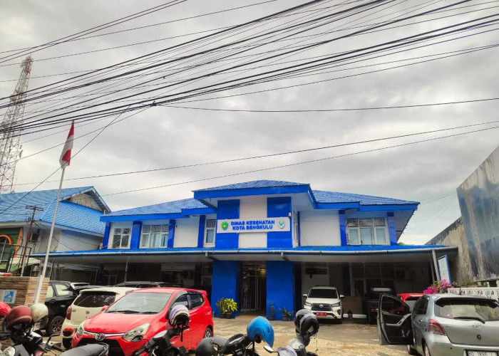  Jumlah Bayi Stunting dan Laporan Indikator Gizi dari 11 Puskesmas di Kota Bengkulu Periode 2025