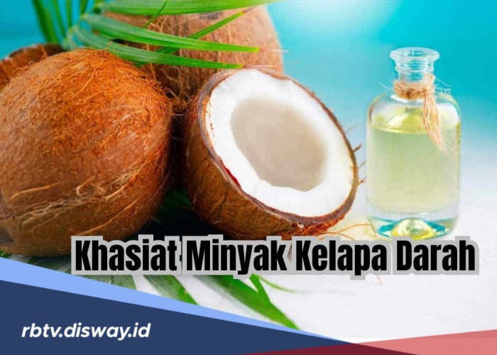 Ini 8 Khasiat Luar Biasa Minyak Kelapa Dara, Jarang Ada yang Tahu