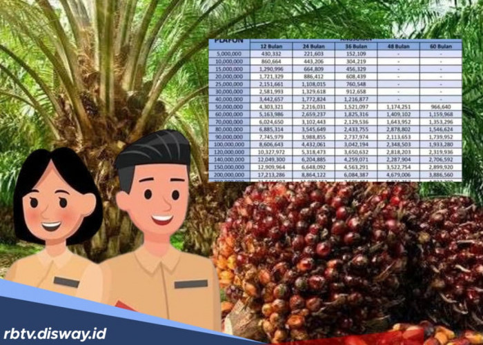 Pinjaman KUR BSI untuk PNS Rp 15 Juta, Cek Tabel Angsurannya, Terendah Rp 491 Ribu