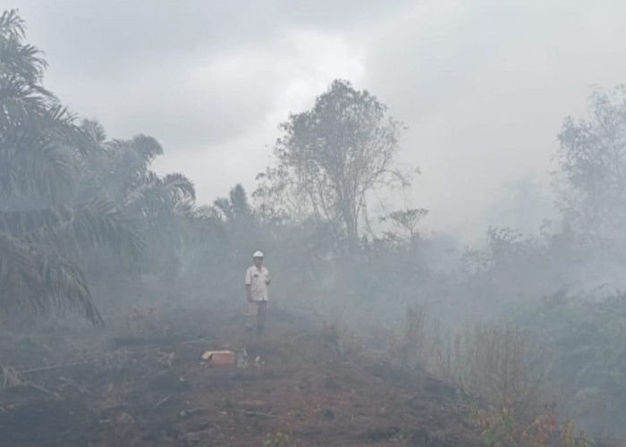 2 Hektare Lahan Sawit Terbakar, PT. SIL Lapor Pembakar Lahan ke Polres Seluma