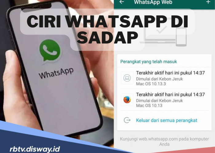 Merasa Ada yang Sedang Memantau? Kenali Ini Ciri WhatsApp Sedang di Sadap