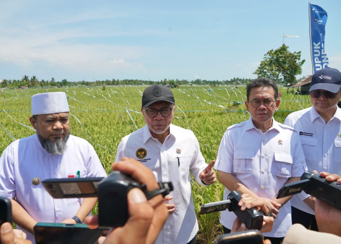 Kunker Menko Pangan Zulkifli Hasan ke Bengkulu 'Jangan Cintai Petani Asing'