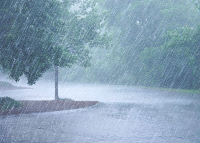 Hujan di Bengkulu Masih Malu-malu, Kenapa ya? Ini BMKG Ungkap Alasannya