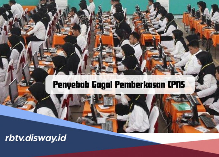 Hati-hati, Ini 3 Penyebab Gagal Pemberkasan CPNS, Siapkan Dokumen Ini agar Lolos