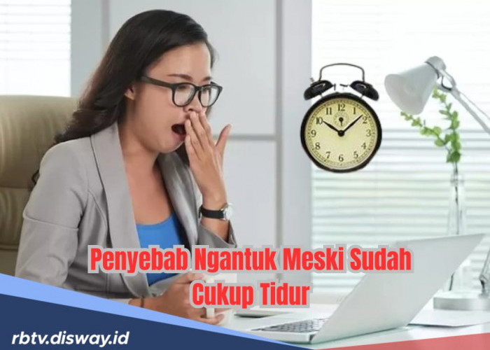 Sudah Tidur Cukup Tapi Sering Merasa Ngantuk, Apa Penyebabnya?
