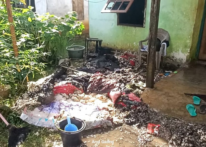 Diduga Korsleting Listrik, Rumah Warga Desa Tangga Batu Seluma Nyaris Hangus Terbakar
