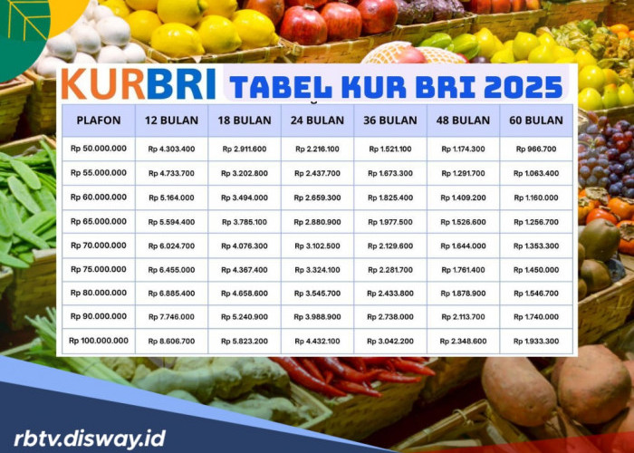 Tidak Sulit, KUR BRI Hari Ini Pinjaman Rp 90 Juta, Cicilan Rp 1 Jutaan per Bulan
