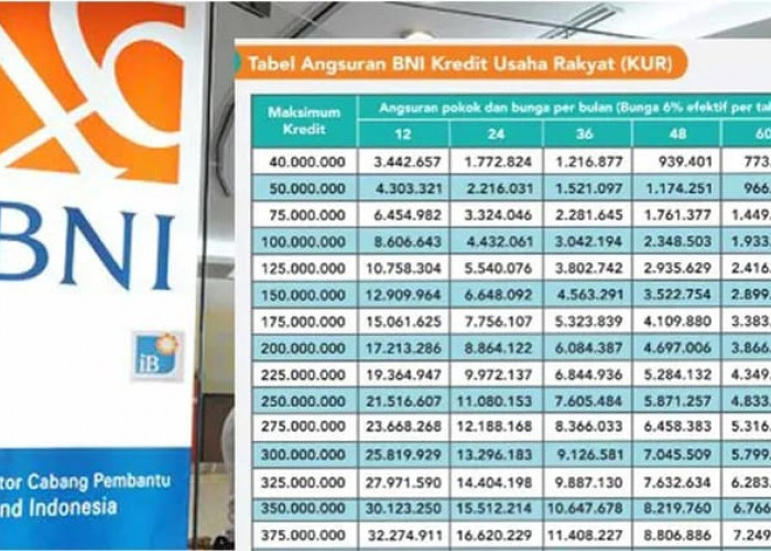 Pengajuan KUR BNI Rp 30 Juta Proses 3 Hari Cair, Cek Simulasi Tabel Cicilan Terbaru