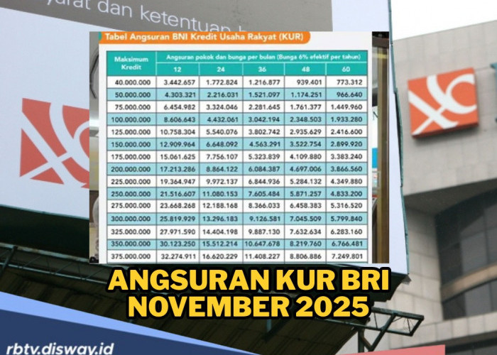 Spesial KUR BNI November 2025, Pinjaman Rp 50 Juta dengan Angsuran Sangat Murah