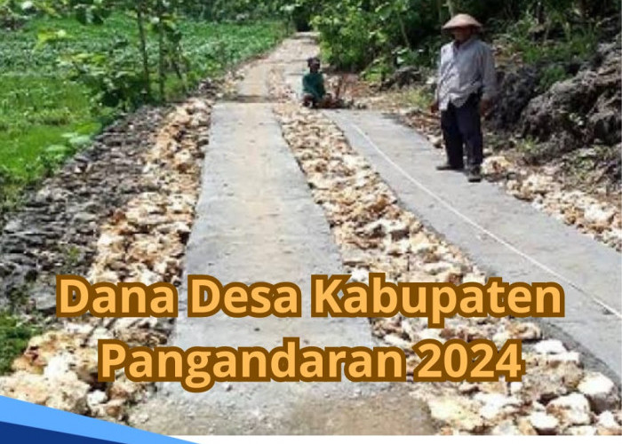 110 Desa Dapat Alokasi yang Berbeda, Simak Rincian Dana Desa Kabupaten Pangandaran 2024
