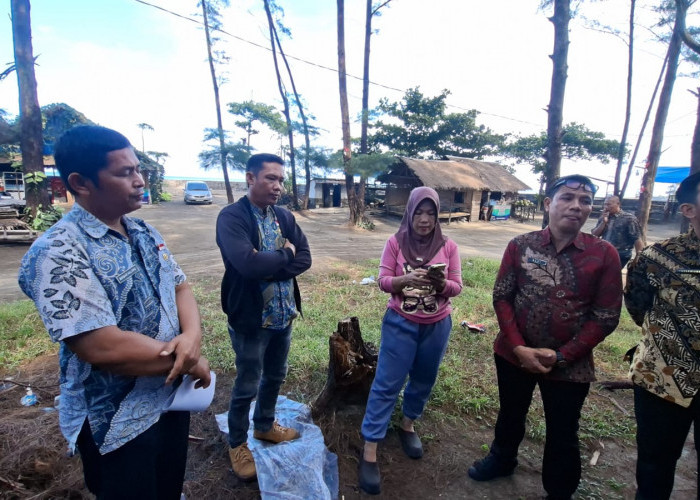Viral Ada Oknum Tebang Pohon di Pantai Panjang, Pemkot Langsung Turun Cek Lokasi