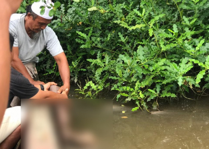 Penjaga Kebun Jagung Sadesahe Ditemukan Tak Bernyawa di Sungai Selagan Kecil Kota Mukomuko