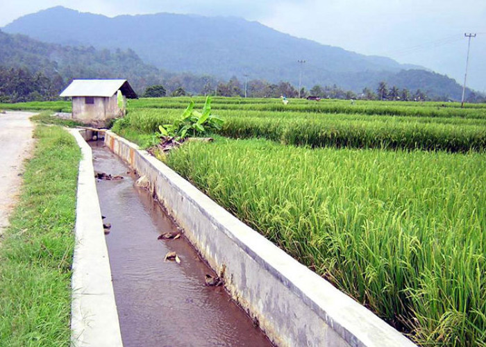 Kucuran Dana Desa di Kabupaten Samosir Tahun 2025, Ini Rincian untuk 128 Desanya