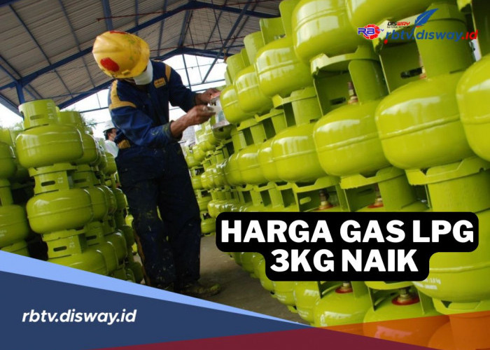 Gawat! Per 15 Januari 2025 Harga Gas LPG 3 Kg di Daerah Ini Naik, Segini Harganya