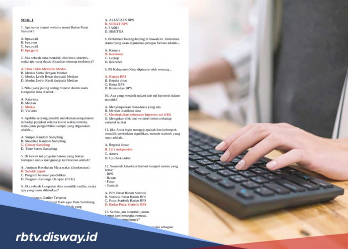 Jika Lolos Tes Kompetensi, Berikut Tahapan yang akan Dilewati Peserta Seleksi Mitra BPS 2026