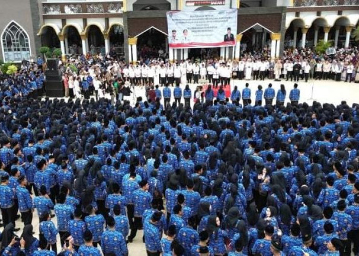 Yang Lain Sulit Lulus P3K tapi 24 P3K Pemprov Bengkulu Malah Mengundurkan Diri