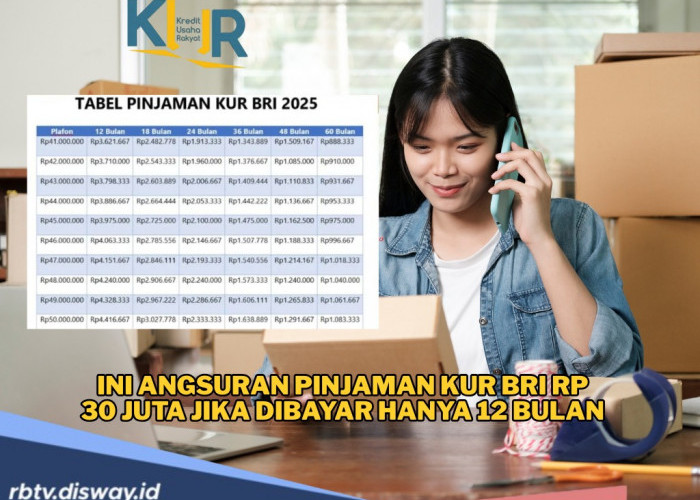 Nggak Mau Lama-lama Punya Utang? Ini Angsuran Pinjaman KUR BRI Rp 30 Juta Jika Dibayar 12 Bulan