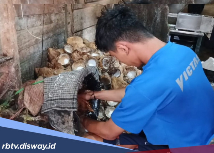 Kurangi Dulu Konsumsi yang Bersantan, Harganya Lagi Mahal
