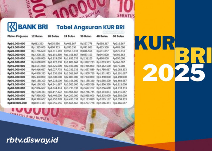 KUR Mikro BRI November 2025, Pinjaman Rp 35 Juta Angsurannya Bikin Kaget