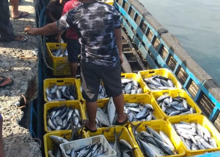 Rp 1,6 Miliar untuk Bantuan Alat Tangkap hingga Pembentukan Badan Hukum Kelompok Nelayan