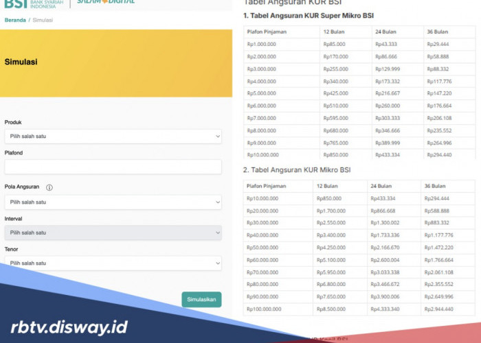 Apakah KUR BSI Pinjaman Rp 100 Juta Cocok untuk Semua Orang?