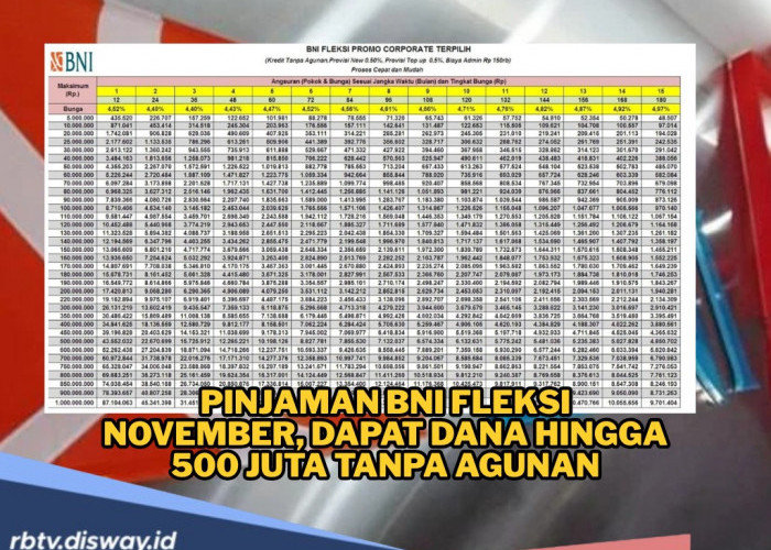 Pinjaman BNI Fleksi November, Dapatkan Dana hingga 500 Juta Tanpa Agunan, Cek Simulasi Angsurannya di Sini